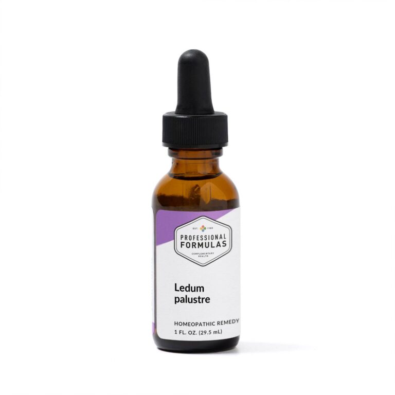 2024-DLED - Ledum palustre - A - PURPLE