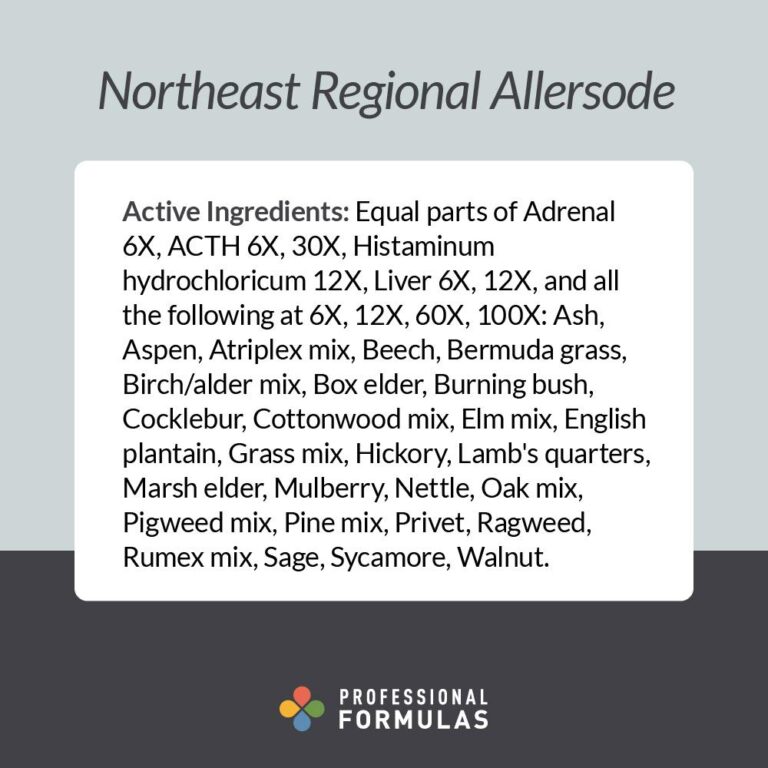 2024-ANE - Allersode - Northeast Regional - B