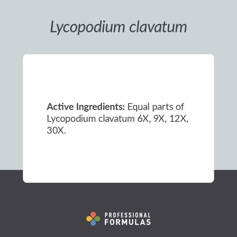 2024-DLYC - Lycopodium clavatum - A - PURPLE