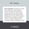 RET Kidney - Image 2