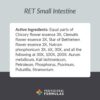 RET Small Intestine - Image 2