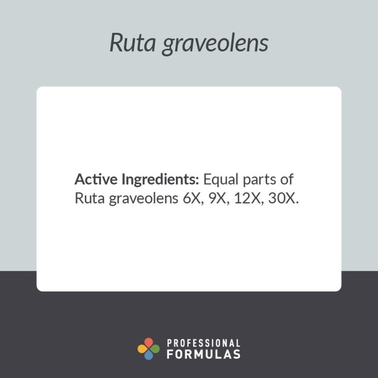 2024-DRUT - Ruta graveolens - A - PURPLE