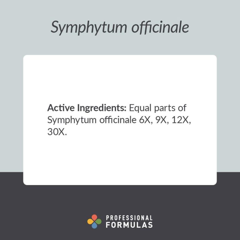 2024-DSYM - Symphytum officinale - A - PURPLE